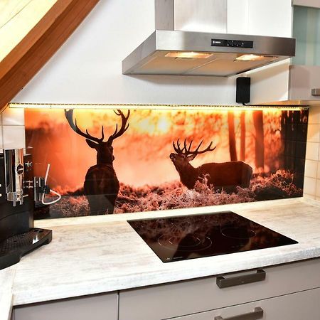 Black Forest Bollenhut Deluxe Lenzkirch Luaran gambar
