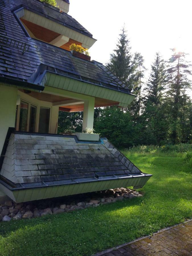 Black Forest Bollenhut Deluxe Lenzkirch Luaran gambar